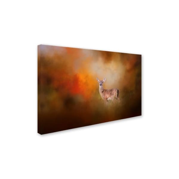 Jai Johnson 'Illuminated By The Autumn Light' Canvas Art,22x32